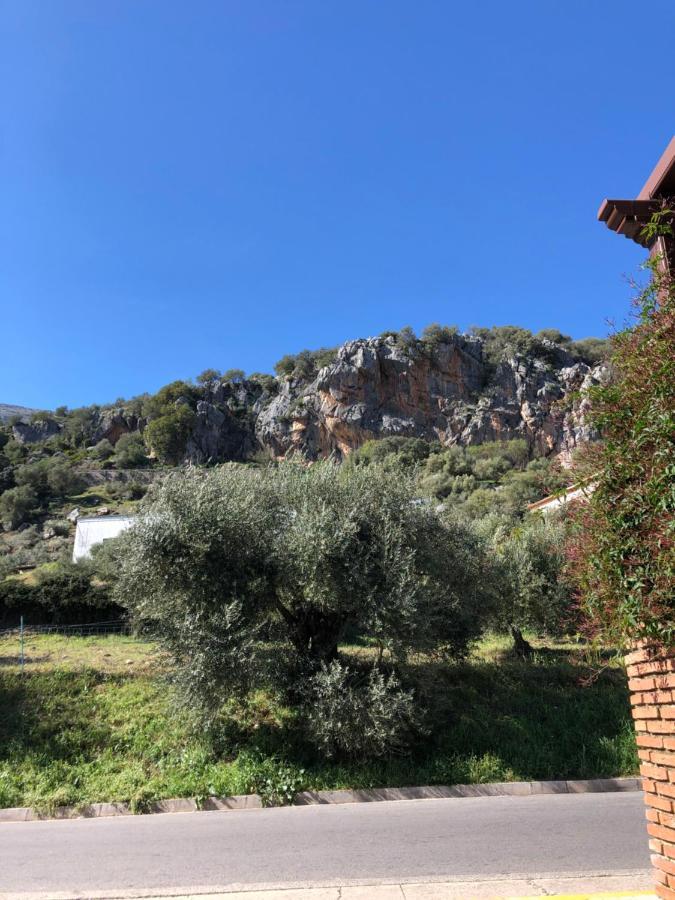 Casa Rural Las Rosas De بيناوخان المظهر الخارجي الصورة