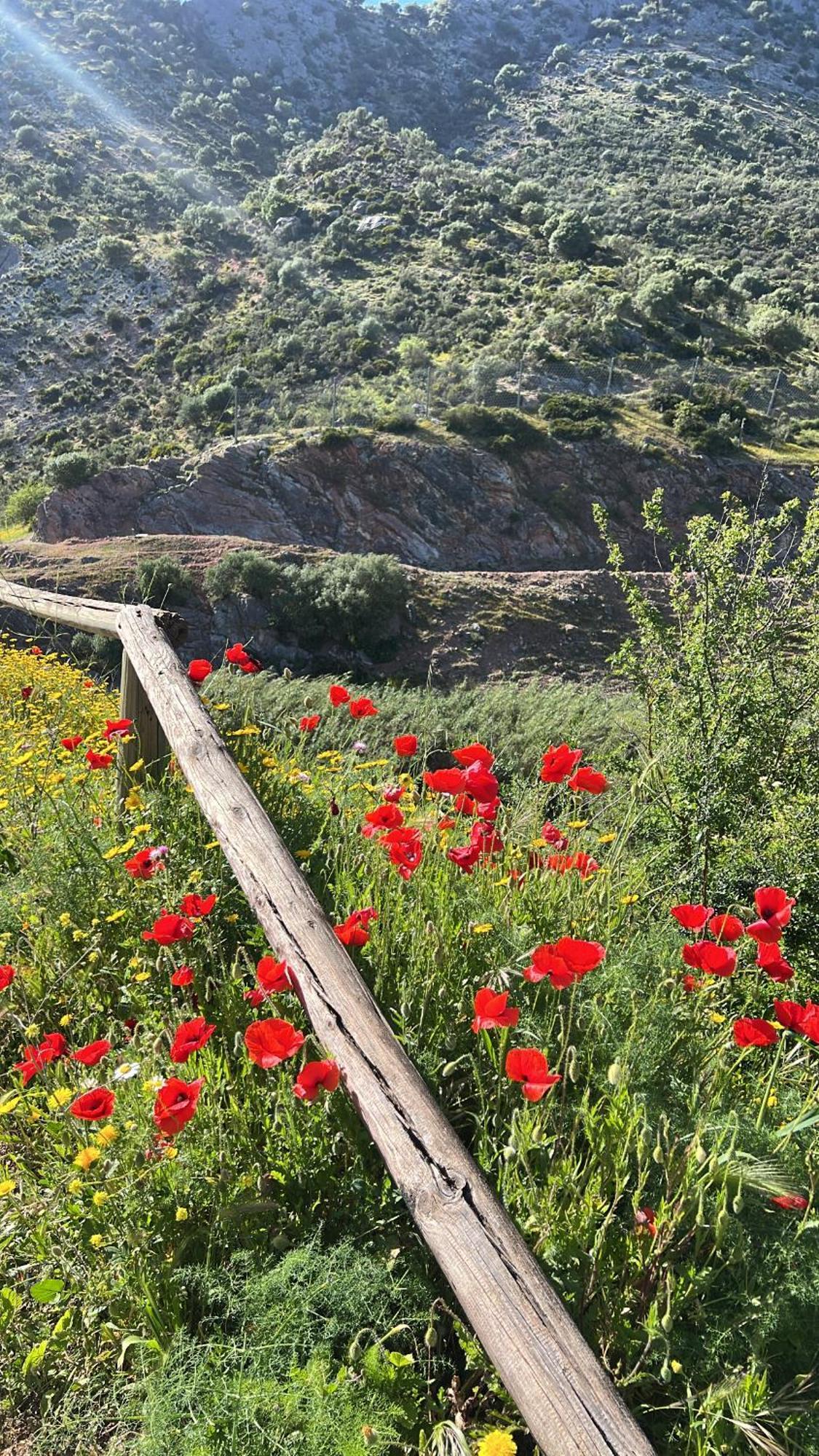 Casa Rural Las Rosas De بيناوخان المظهر الخارجي الصورة
